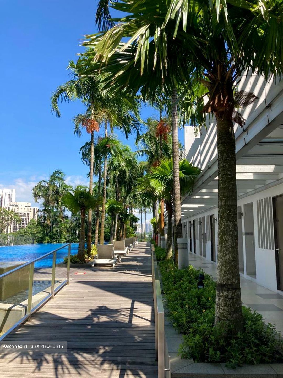 The Rochester Residences (D5), Apartment #376669101